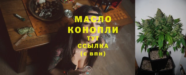 индика Гусь-Хрустальный
