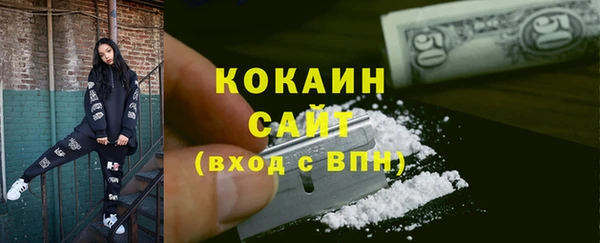 индика Гусь-Хрустальный