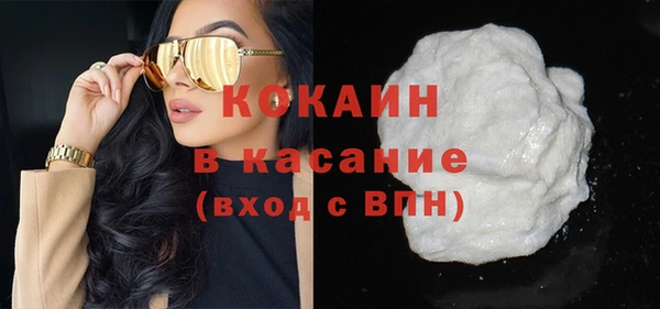 индика Гусь-Хрустальный