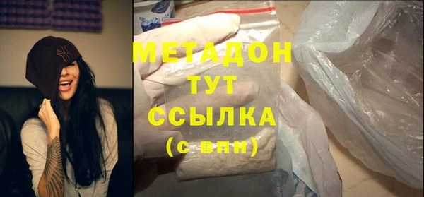индика Гусь-Хрустальный