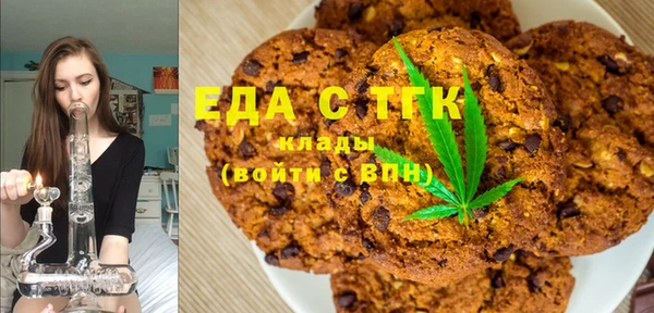 индика Гусь-Хрустальный
