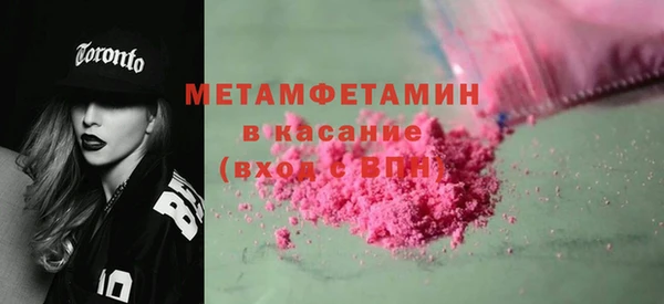 индика Гусь-Хрустальный