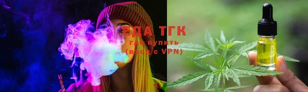 индика Гусь-Хрустальный
