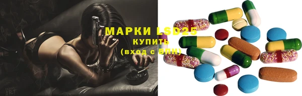 индика Гусь-Хрустальный
