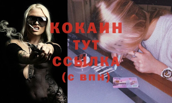 индика Гусь-Хрустальный