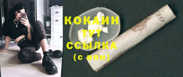 мет Гусев