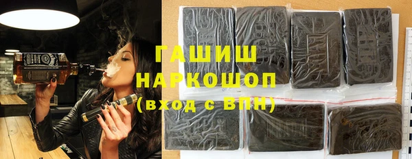 индика Гусь-Хрустальный