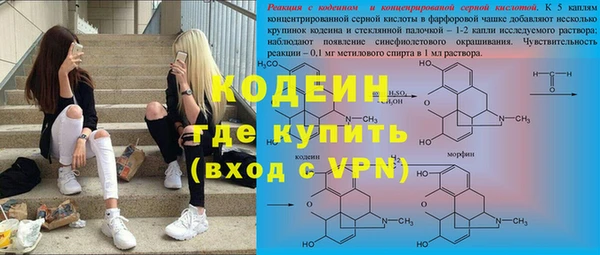 индика Гусь-Хрустальный