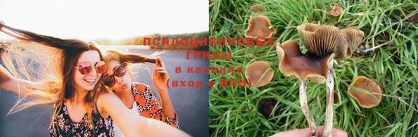 jwh Гусиноозёрск
