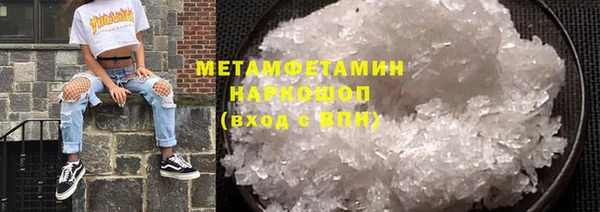 индика Гусь-Хрустальный