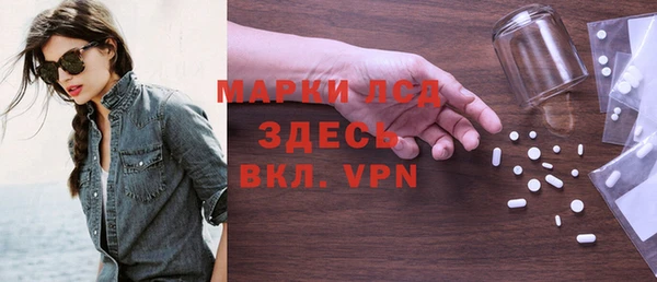 индика Гусь-Хрустальный