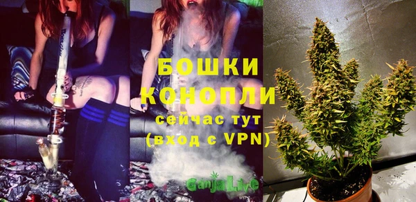 индика Гусь-Хрустальный
