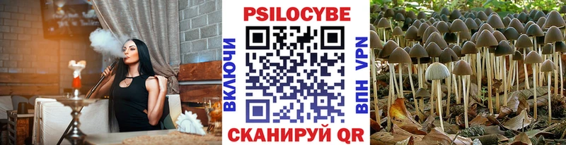 Псилоцибиновые грибы GOLDEN TEACHER  Купить  Карачев 